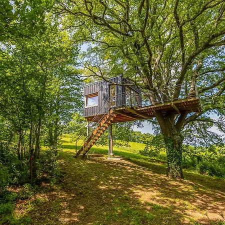 La Quercia And The Tree House By Great *